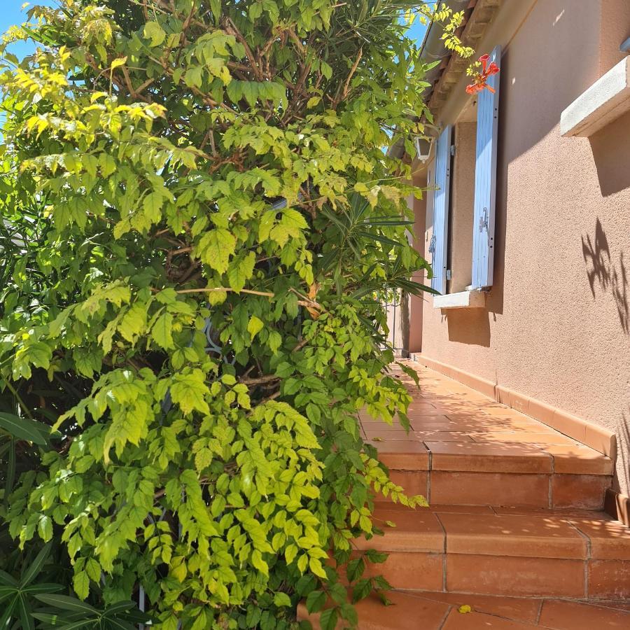 Hameau Des Amandiers - Vue Mer, Golf Et Vignes Apartamento Saint-Cyr-sur-Mer Exterior foto